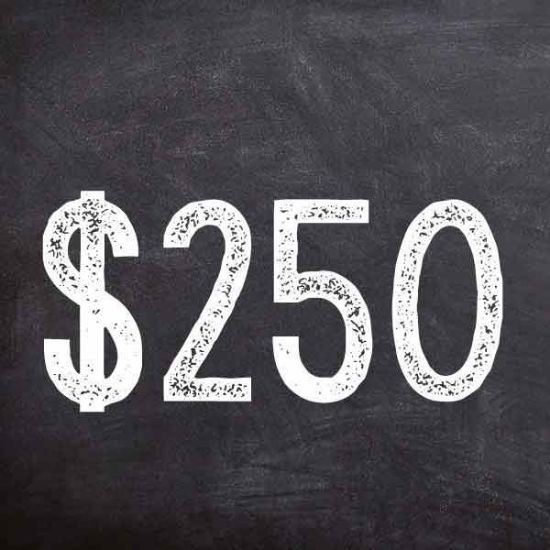 Picture of Donation - $250