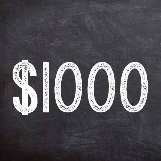 Picture of Donation - $1000