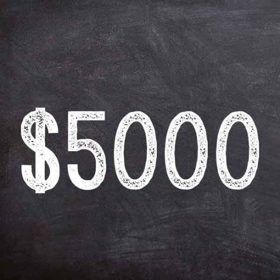 Picture of Donation - $5000