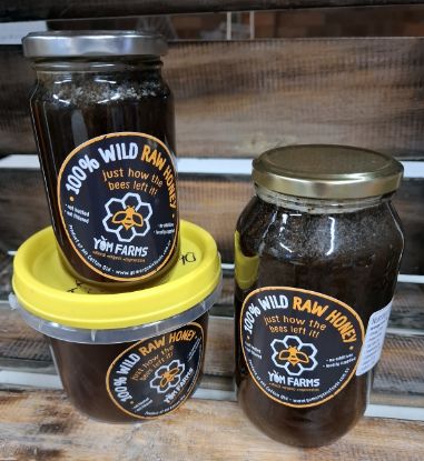 Picture of RAW HONEY (QLD) / 1kg