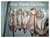 Picture of PORK BELLY - Ethical, Organic, Free-range / 500g pack (approx. size) - copy